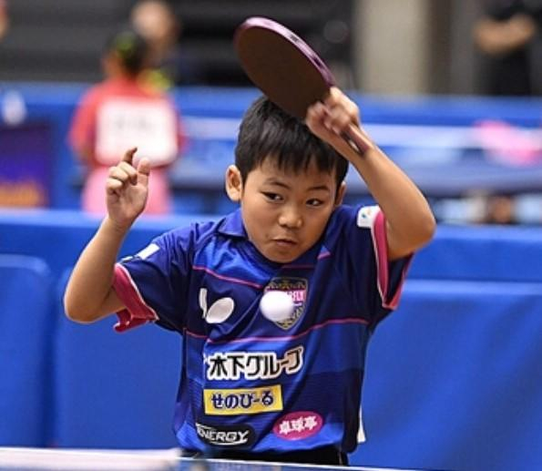 关于波兰乒乓球队翻盘法国乒乓球队,水谷隼制霸全场的信息 关于波兰乒乓球队翻盘法国乒乓球队,水谷隼制霸全场的信息