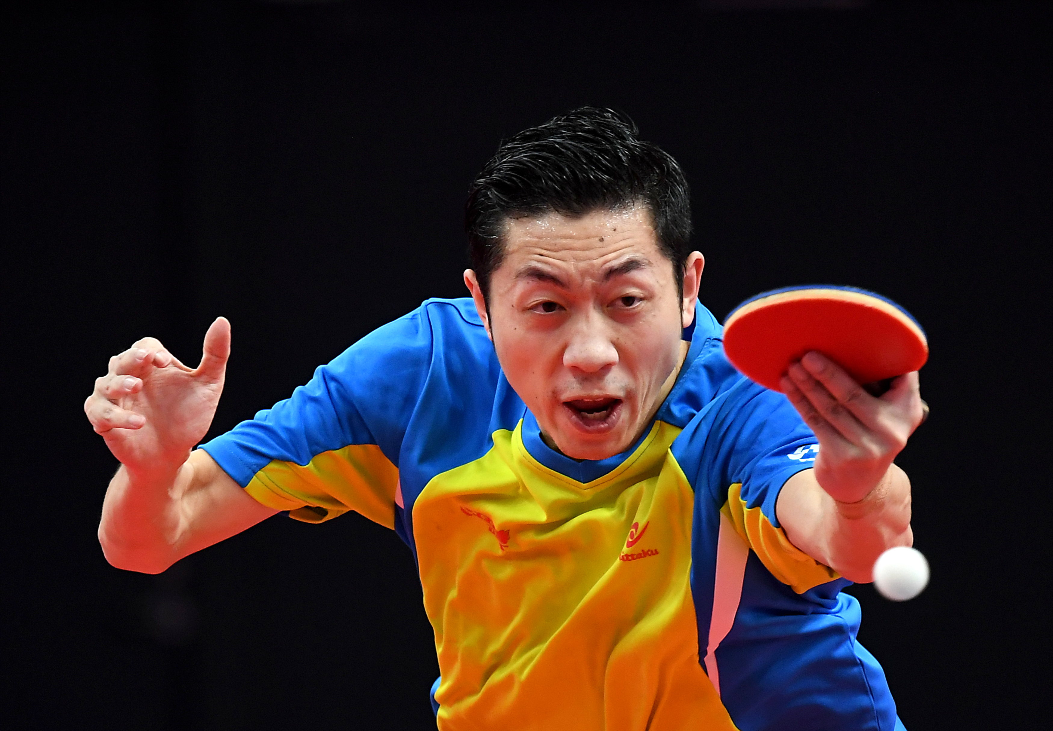 开云平台-奥地利乒乓球队横扫比利时乒乓球队,许昕高光表现的简单介绍