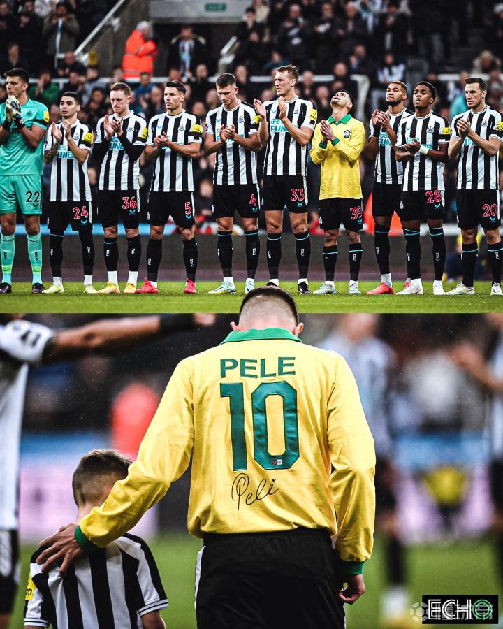 开云足球直播-比利时碾压巴西,布鲁诺关键制胜的简单介绍